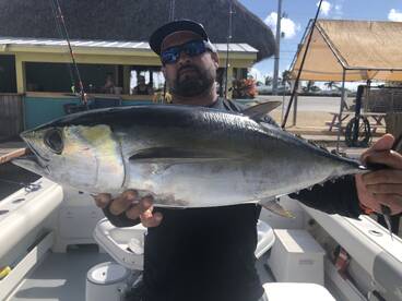 Jumbo Tuna have made their move inshore