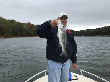 Cumming Report Photo 1