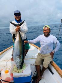 Sailfish and more tuna