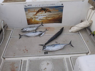 Niceville Report Photo 2