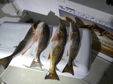 Niceville Report Photo 1