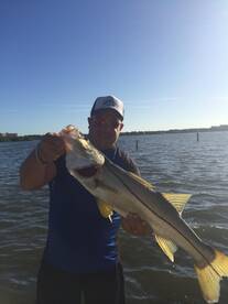 Sarasota Report Photo 1
