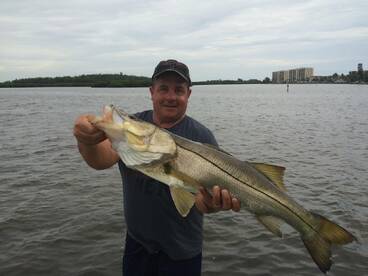 Sarasota Report Photo 2