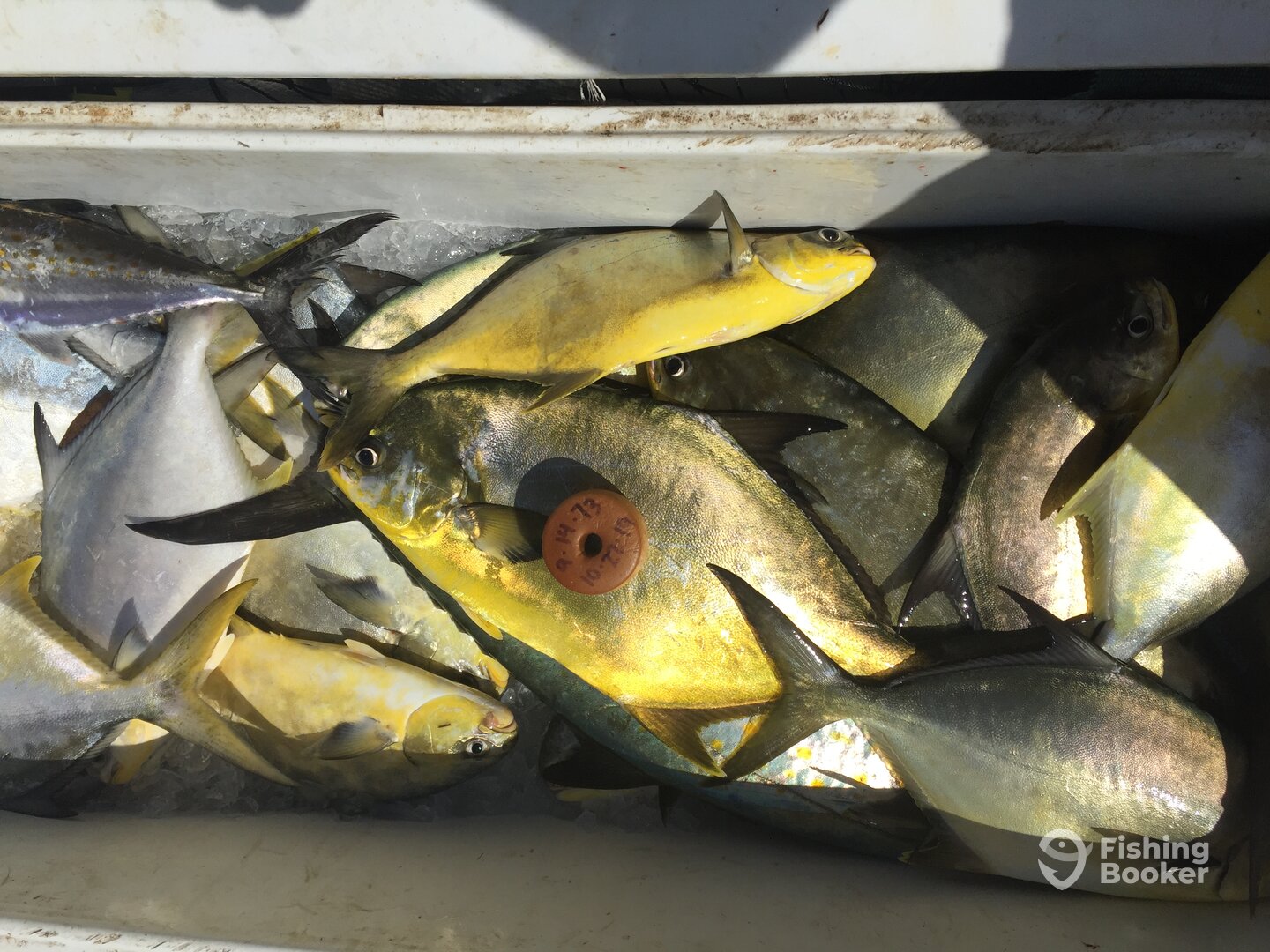 Port Canaveral Report Photo 0