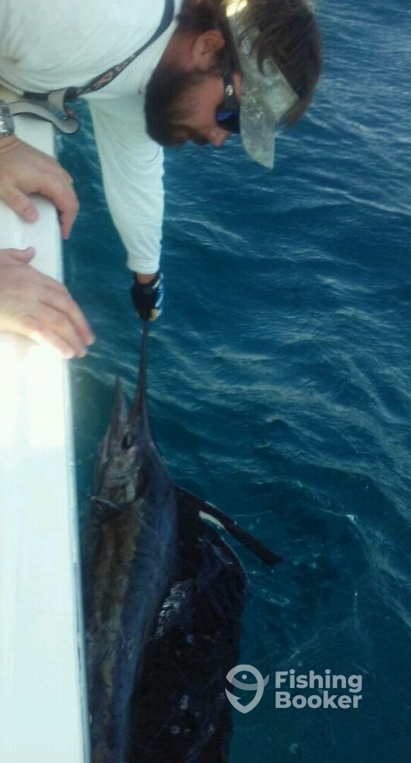 Fort Lauderdale Report Photo 0