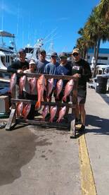 Panama City Report Photo 2