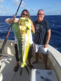 Bull Dolphin (Mahi Mahi)