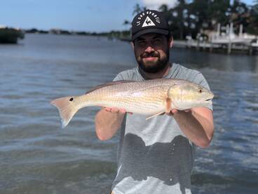 Sarasota Report Photo 1