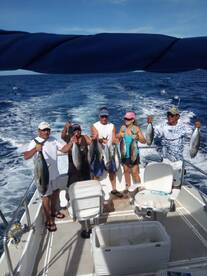 Cabo San Lucas Report Photo 2