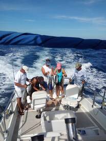 Cabo San Lucas Report Photo 1