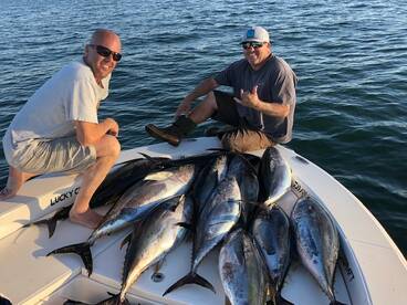 Lots of Yellowfin TUNA!