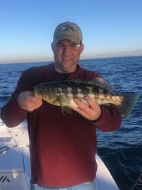 Half Day Calico Bass Action!