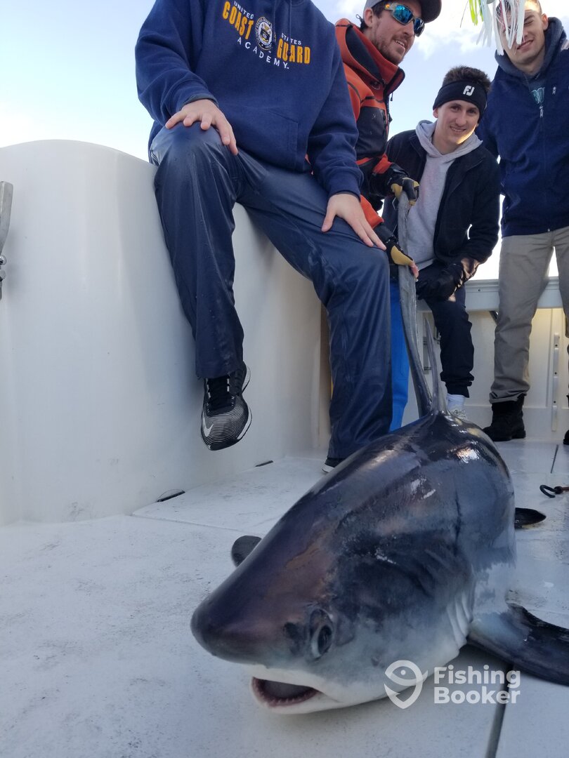 Point Pleasant Report Photo 0