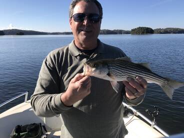 Cumming Report Photo 2