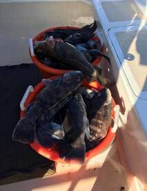 Montauk Report Photo 1