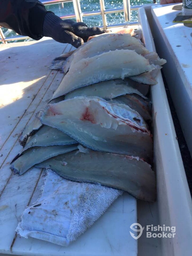 Montauk Report Photo 0