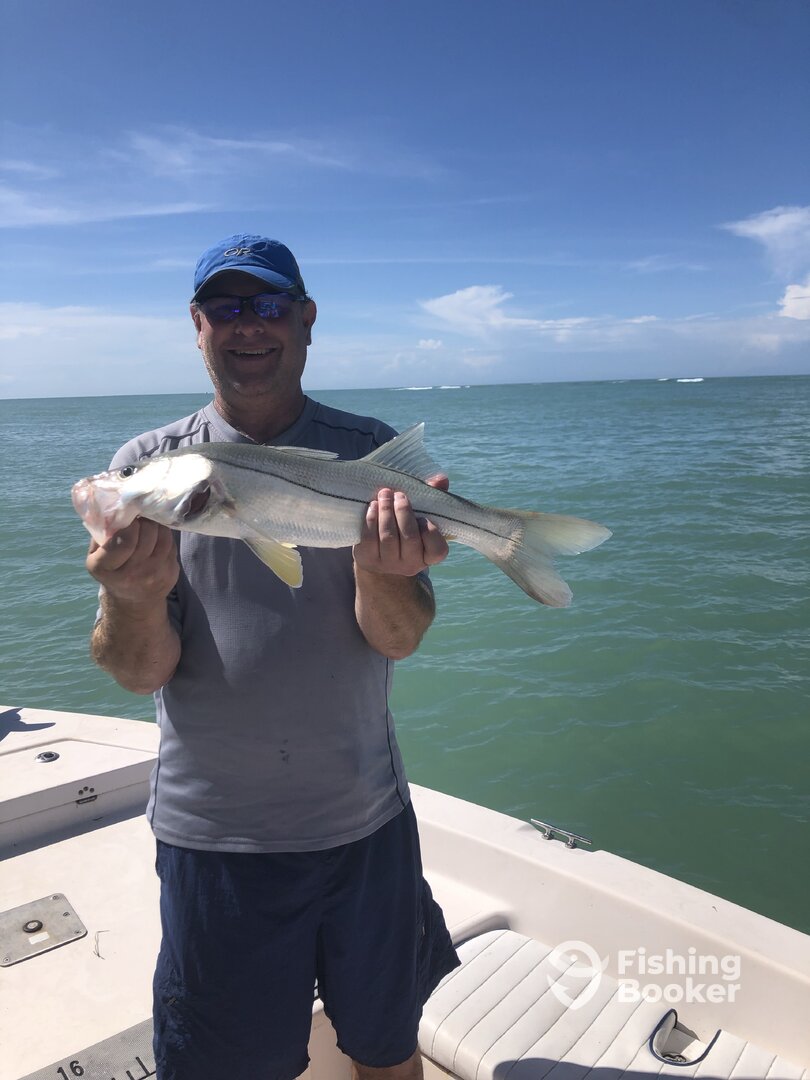 Sarasota Report Photo 0