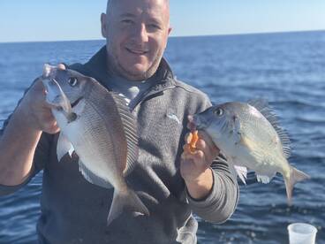 Lacey Township Report Photo 2