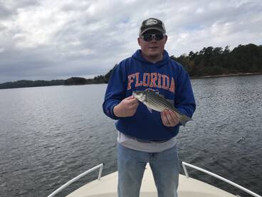 Cumming Report Photo 1