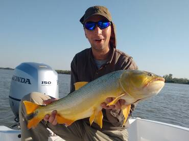 Golden Dorados with LURES