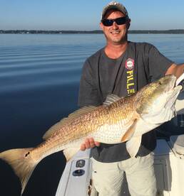 Fairhope Report Photo 2