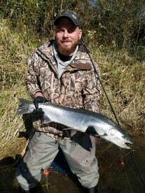 Beautiful winter steelhead are starting 