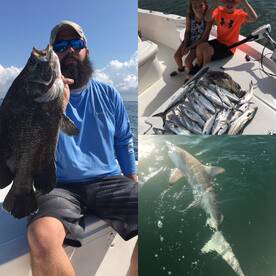 Non Stop Fall Action Right Now