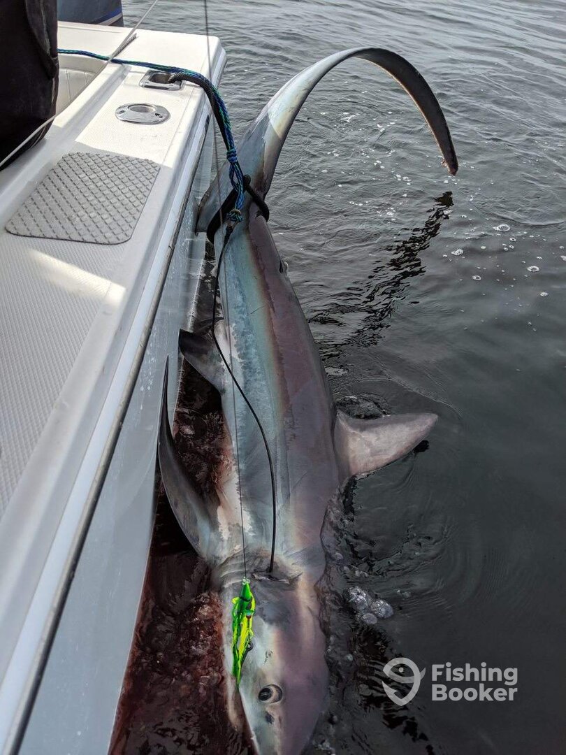 South Amboy Report Photo 0