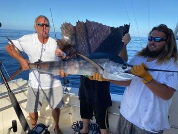 Fall Sailfish fishing