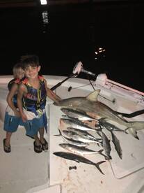 Sarasota Report Photo 1