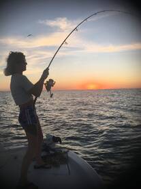 Sarasota Report Photo 2