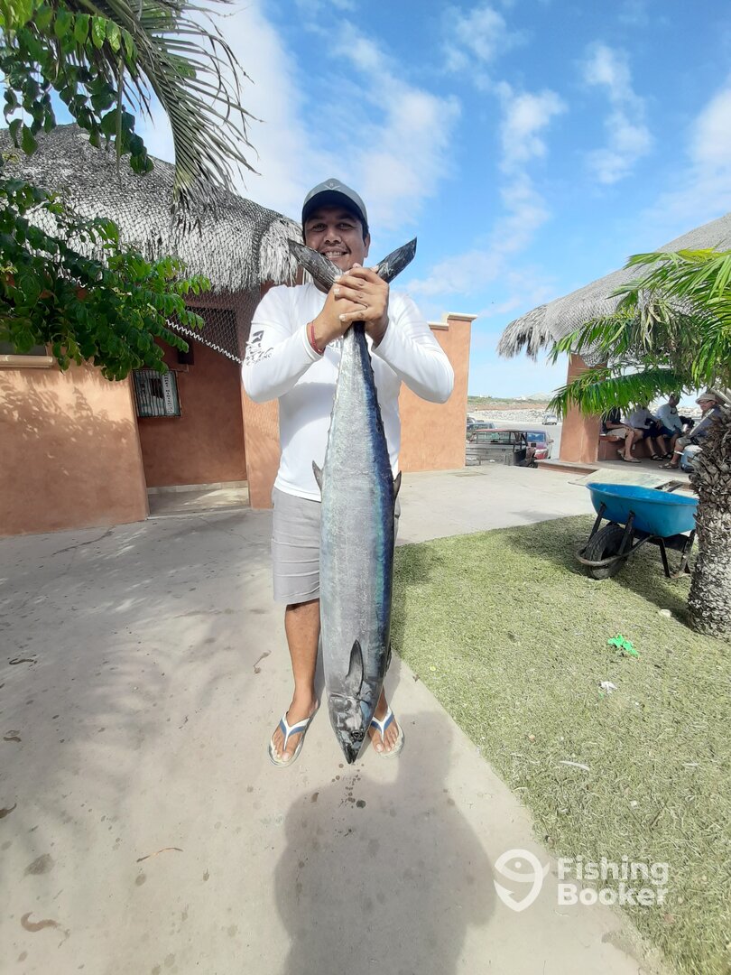San Jose del Cabo Report Photo 0