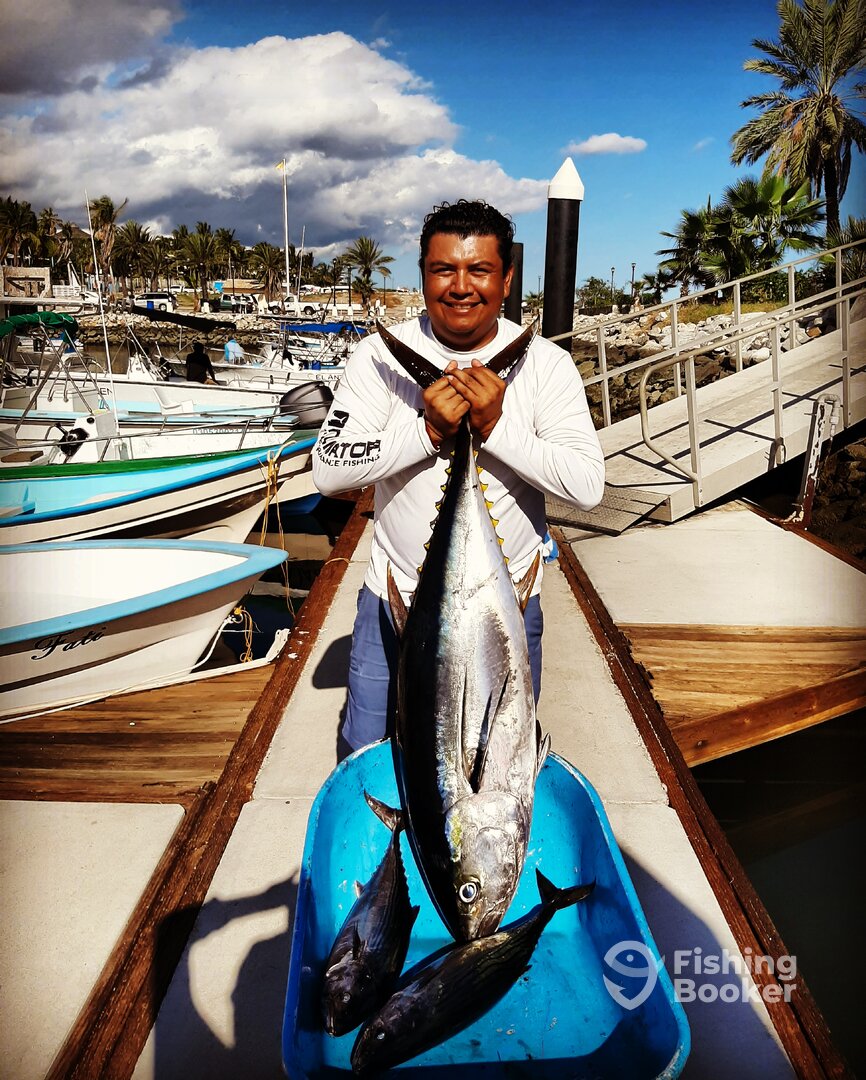 San Jose del Cabo Report Photo 0