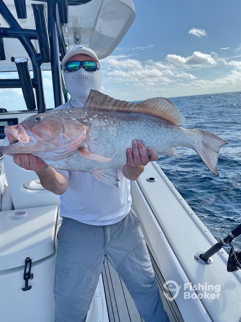 Marco Island Report Photo 0