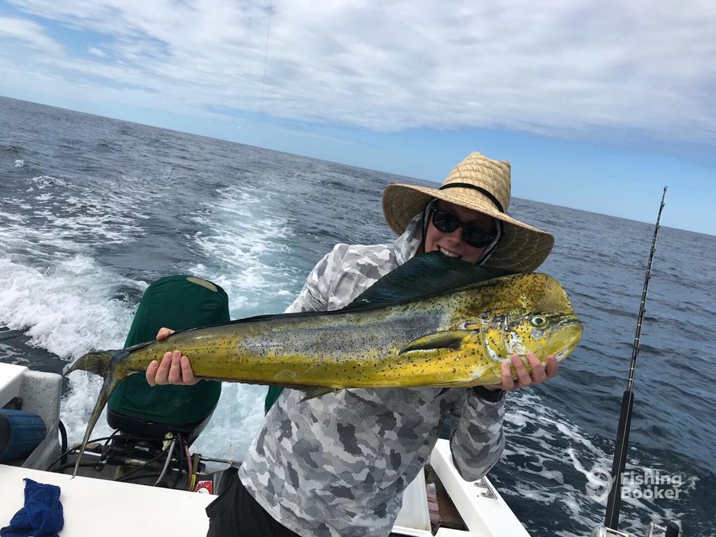 Dorado Report