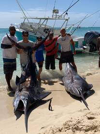 2 marlin in half day