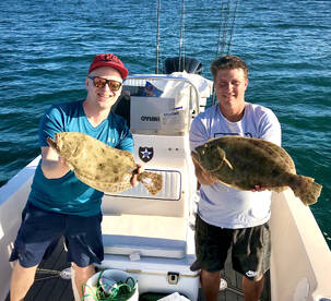 Sarasota Report Photo 2
