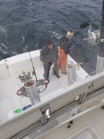 Point Pleasant Report Photo 2