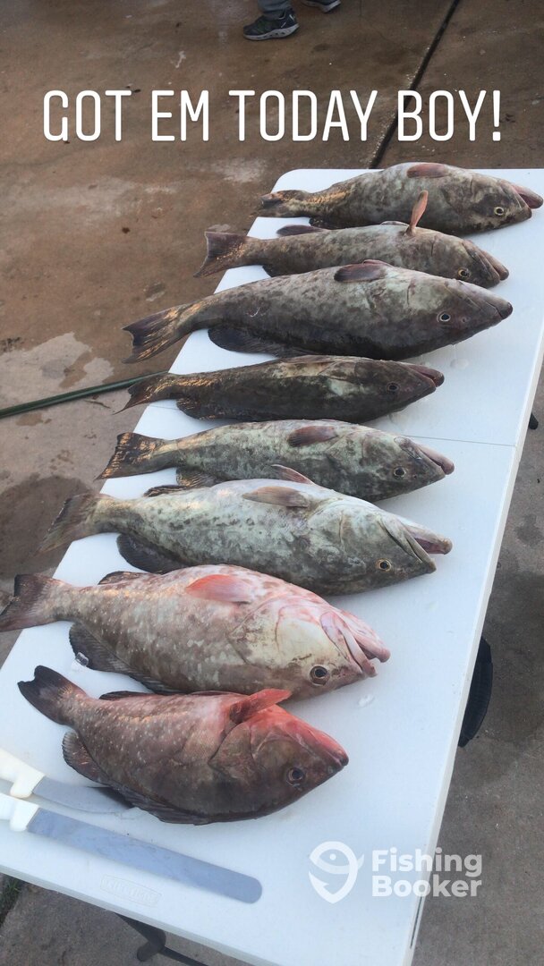 Clearwater Report Photo 0