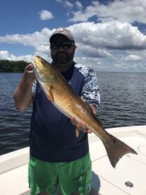 St. Petersburg Report Photo 1