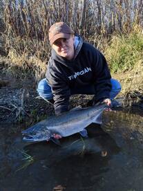Humptulips river Chrome bright Coho!!!