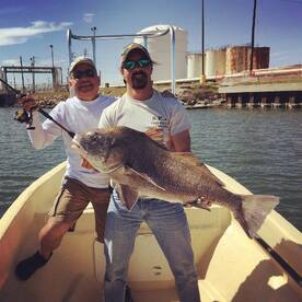 Monster Black Drum