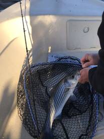 Cumming Report Photo 2