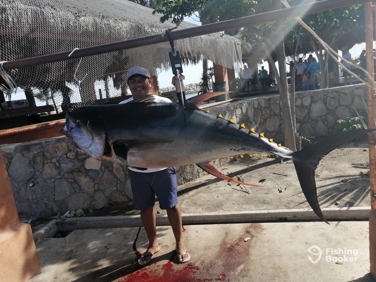 San Jose del Cabo Report Photo 0