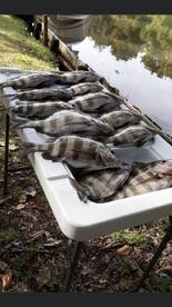 Pensacola Report Photo 2