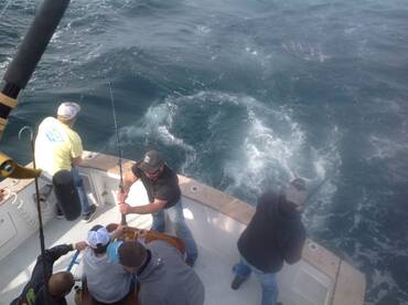 Little man getting down with a yellowfin tuna!