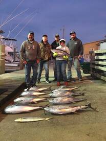 Tuna fishing is great these days!