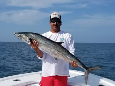 Kingfish The Gulf of Mexico