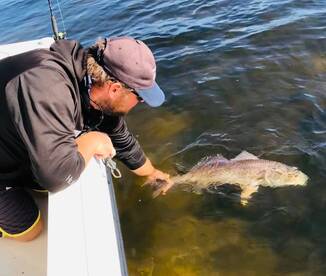 Redfish are on fire