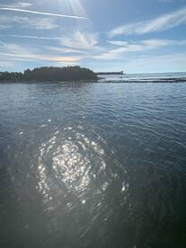 Cedar Key Report Photo 1